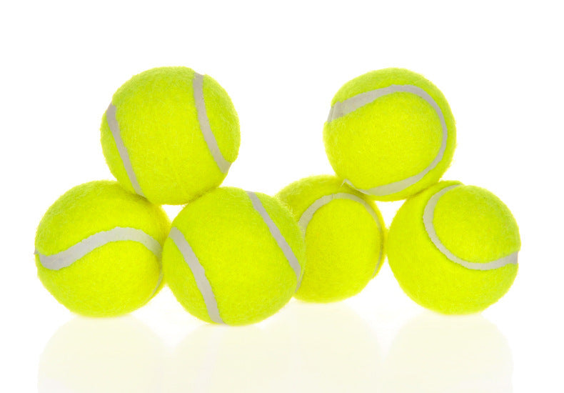 Lanzador automático de pelotas interactivo para perros y mascotas