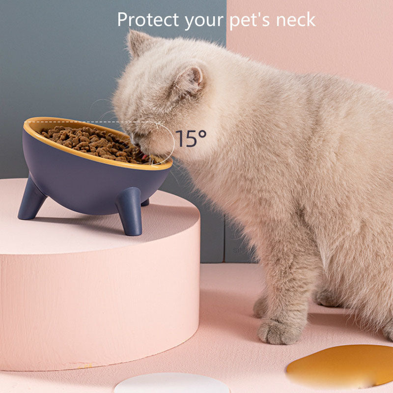Comedero para perros y gatos con soporte, comedero nórdico de colores para perros, conejos y conejos, accesorios para mascotas.