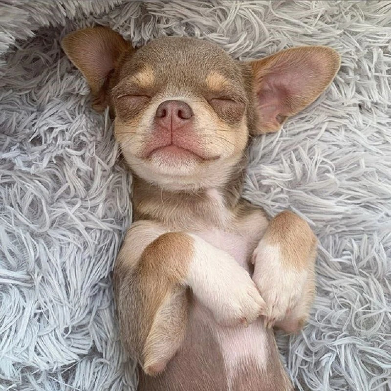 Cama para perros súper suave, lavable, larga, de felpa, caseta para mascotas, para dormir profundamente, tapetes de terciopelo, sofá para perro, cesta, cama para mascota y gato